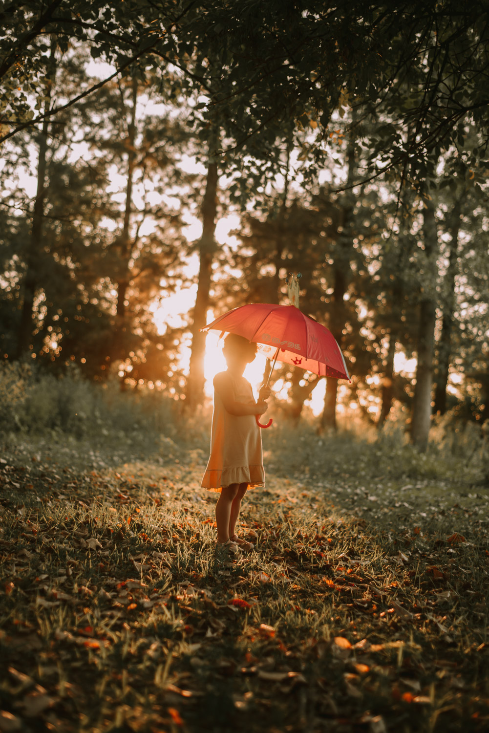 niña con paraguas en el campo